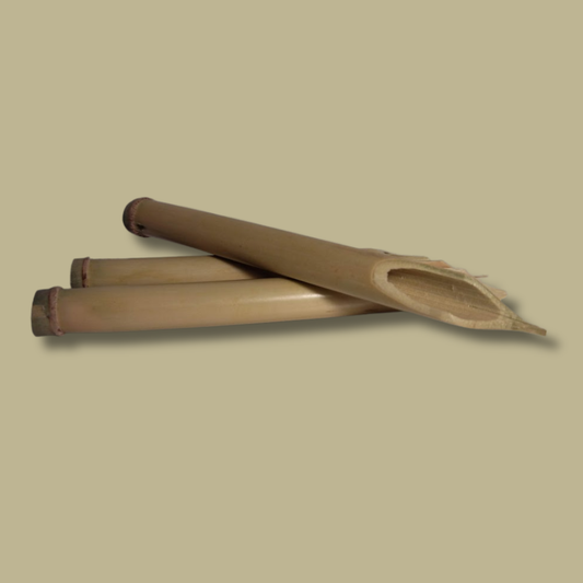 Cálamo o Pluma de caña