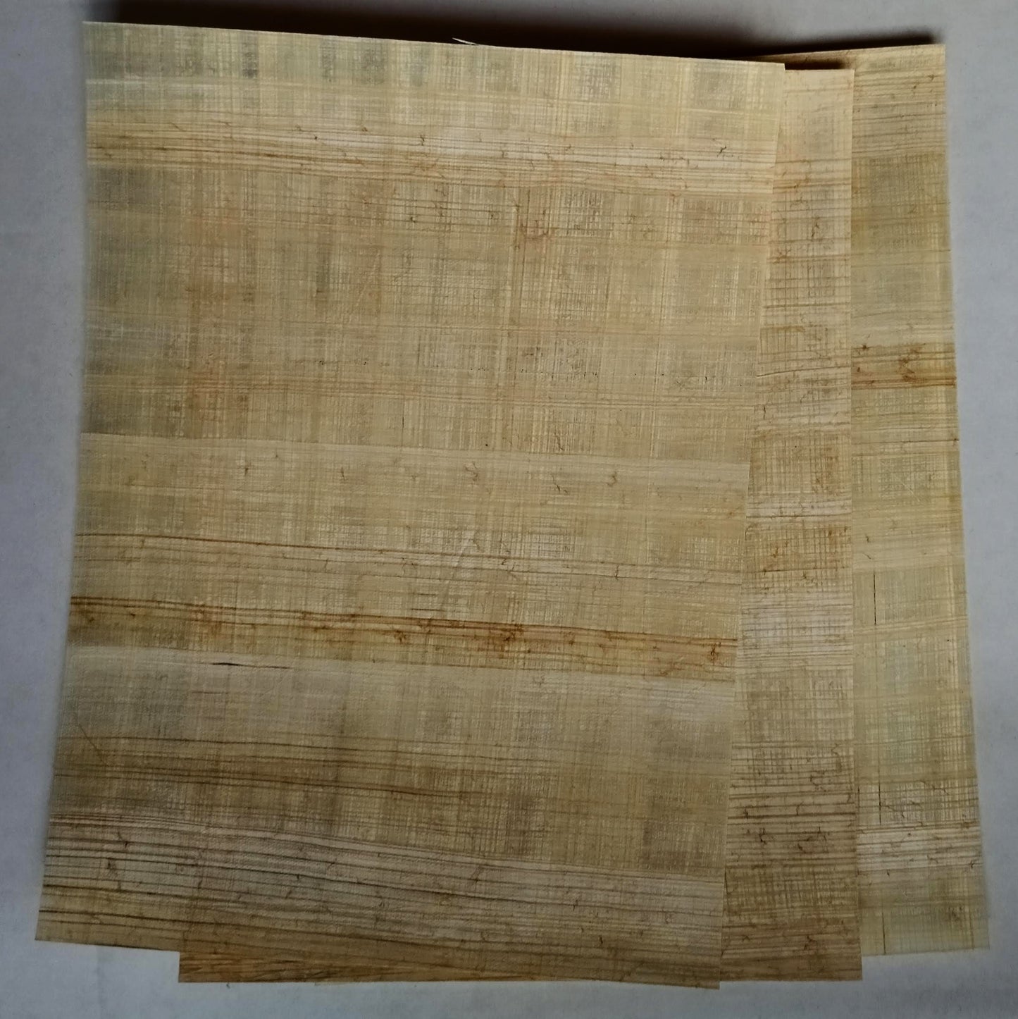 Packung mit 25 Papyrusblättern 20x30cm
