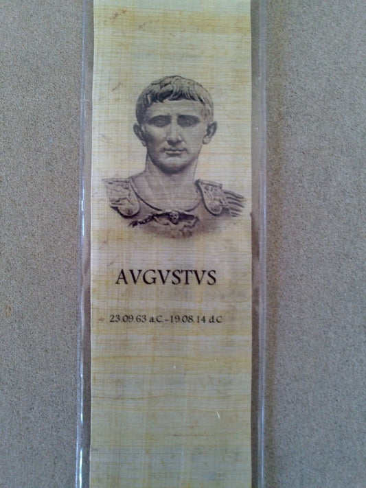 Funda protectora puntos de libro