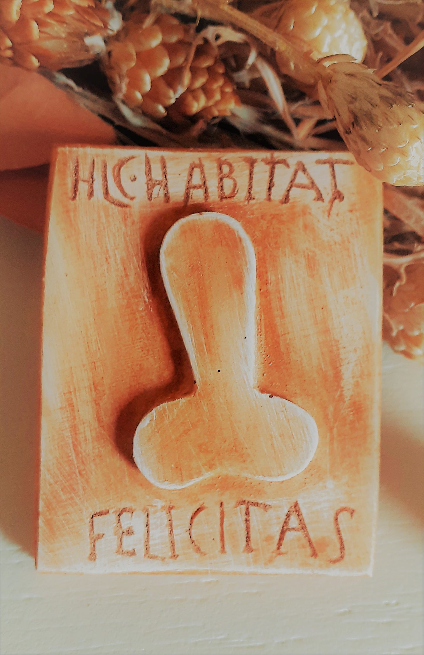 Imán Hic habitat felicitas