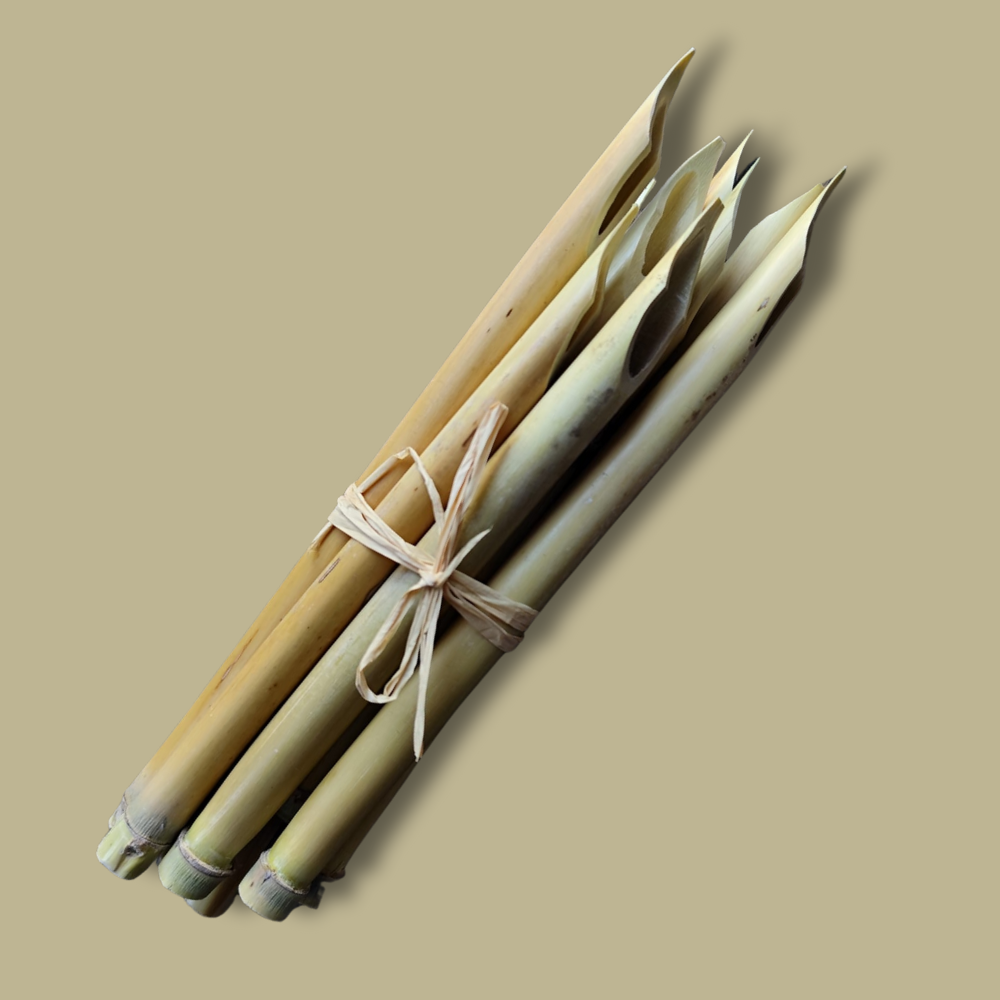 Packung mit 10 Rohrfedern