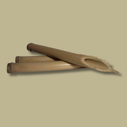 Packung mit 10 Rohrfedern