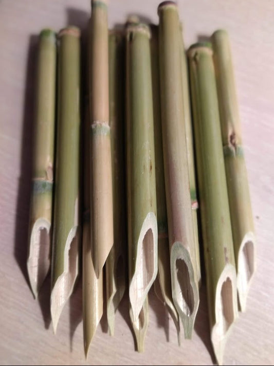 Pack 10 Cálamos de caña