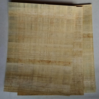 Hojas de papiro 20x30cm