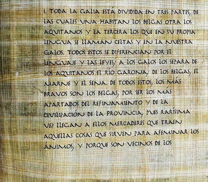 Rollo de papiro en castellano de  Bello Gallico