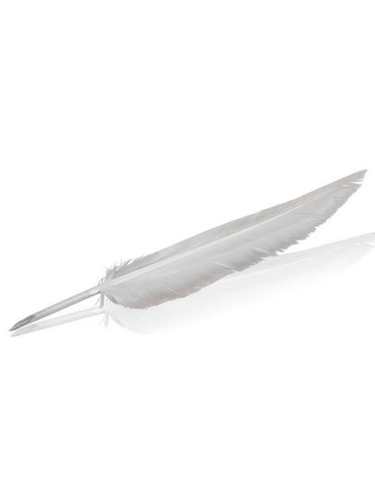 white bird feather