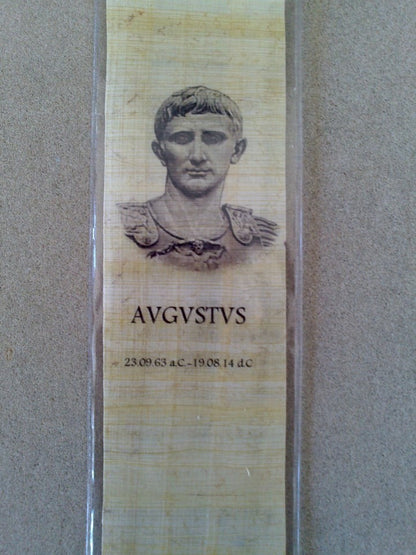 25 Fundas protectoras para puntos de libro